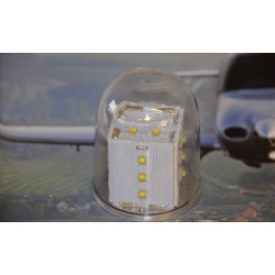 Anticollisionlight / Rundumblitz